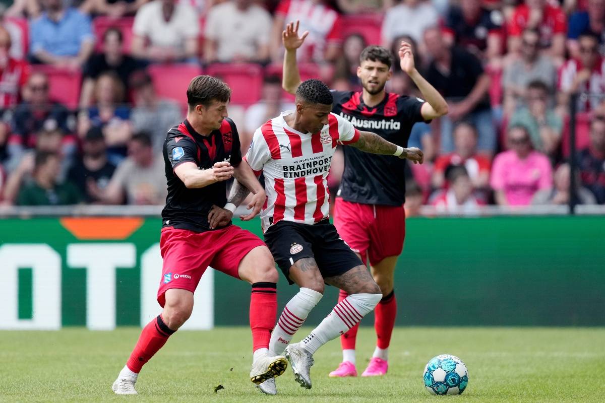 球迷带来了 球迷带来了